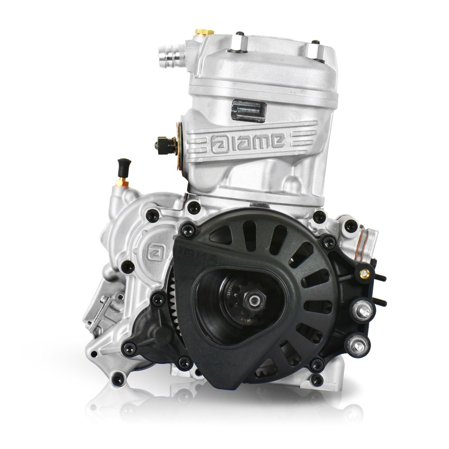 Iame X30 compleet 125CC JUNIOR Met IAME demper