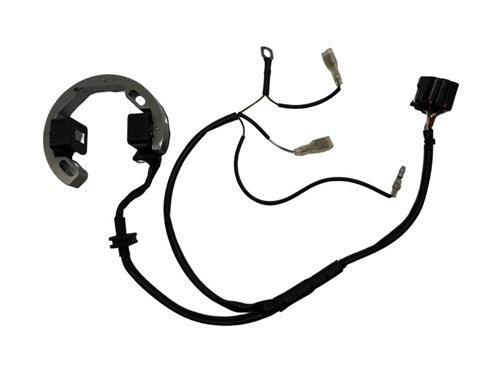 Ontsteking Selettra Mini-swift 60cc 2010-2016 iame