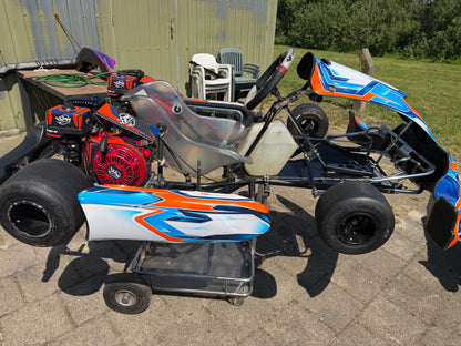 Kart profesional usado con motores HP