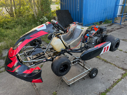 Kart profesional usado con motores HP