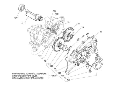 Iame X30 balansas lager 6005 SKF