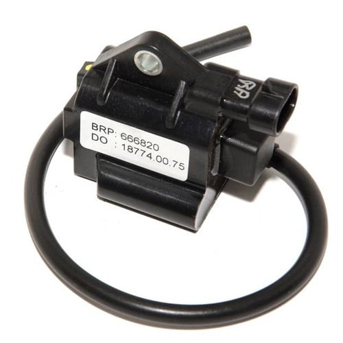 Rotax Max Coil EVO