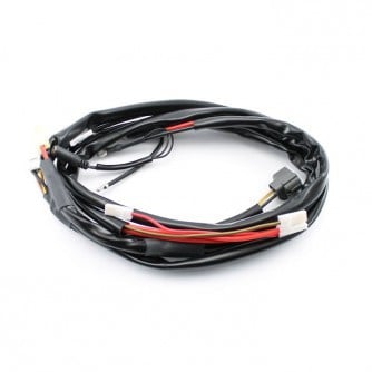 Rotax max wiring harness non EVO