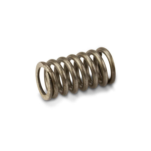 Wet Clutch Spring