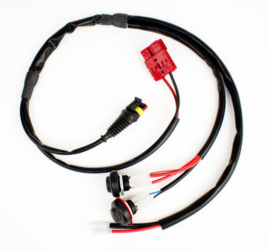 Iame X30 wiring harness