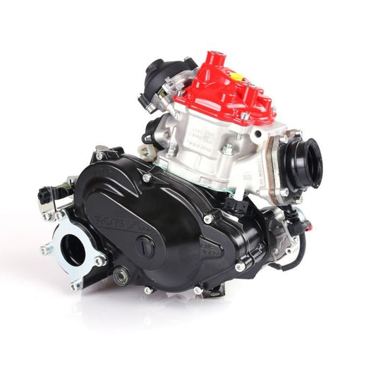 Rotax DD2 bare engine
