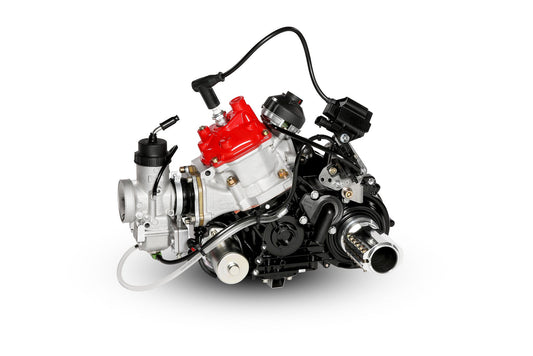 Rotax max DD2 complete